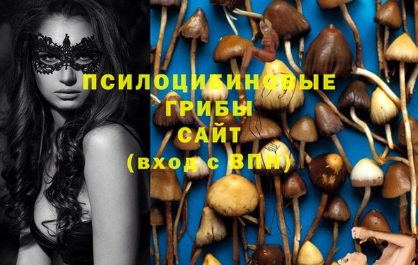 герыч Дмитриев