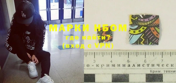 стаф Дмитров