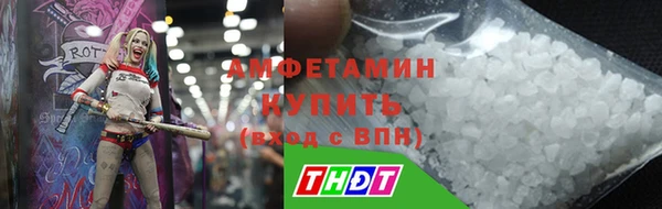 стаф Дмитров