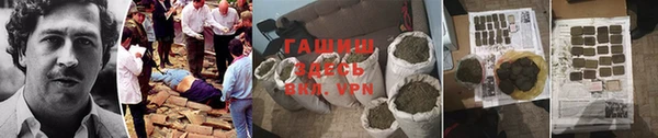 стаф Дмитров