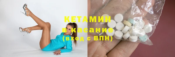 стаф Дмитров