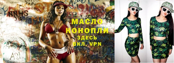 стаф Дмитров