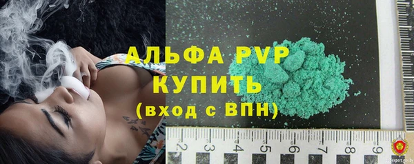 стаф Дмитров