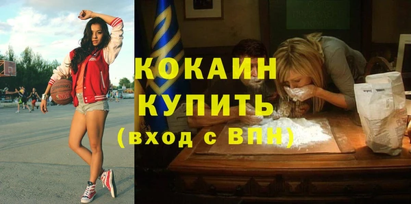 стаф Дмитров