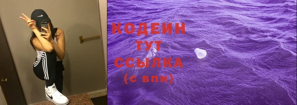 СК Дмитровск