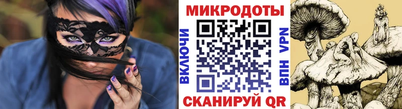 Галлюциногенные грибы Cubensis  хочу наркоту  Елабуга 